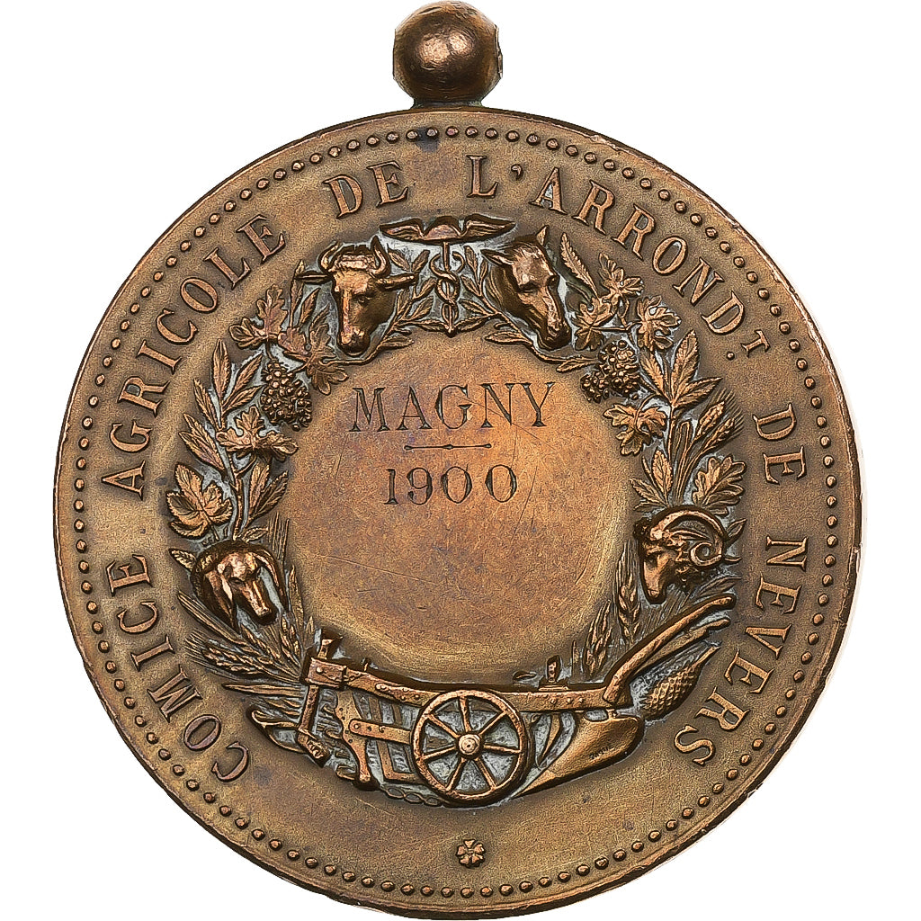 França, medalha, Comice Agricole de l'Arrondissement de Nevers, 1900, Bronze