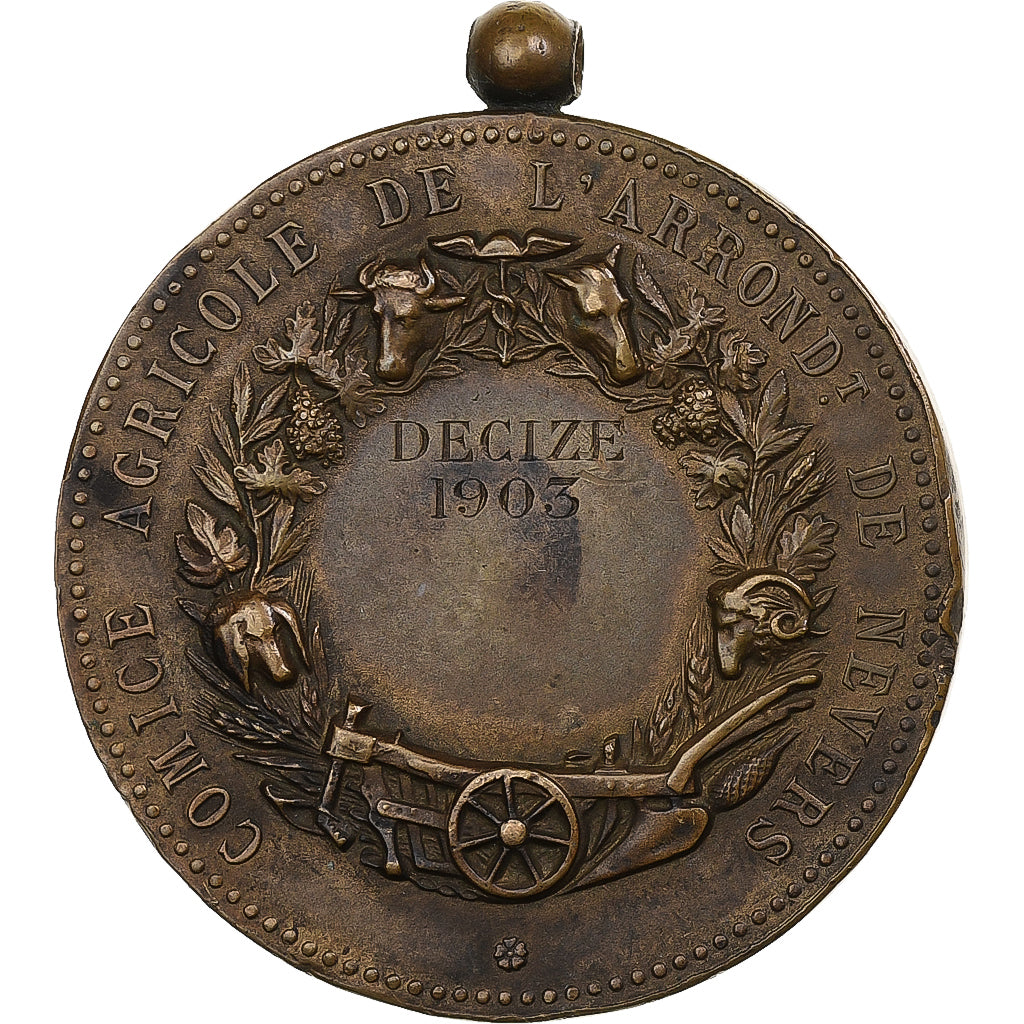 Francia, medalla, Comice Agricole de l'Arrondissement de Nevers, 1903, Bronce