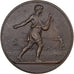 França, medalha, Comice Agricole de l'Arrondissement de Nevers, 1874, Bronze