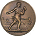 Francia, medalla, Comice Agricole de l'Arrondissement de Nevers, 1902, Bronce