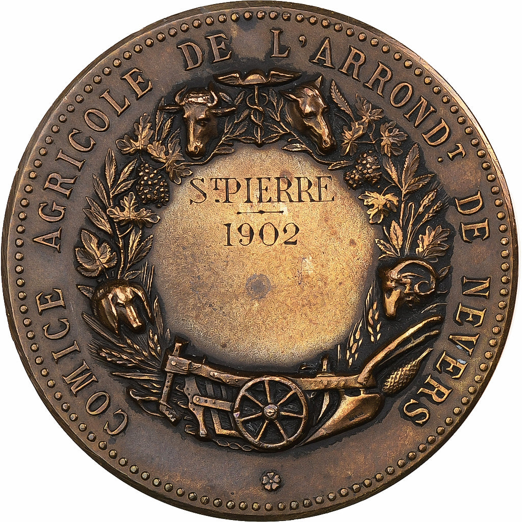 Francia, medalla, Comice Agricole de l'Arrondissement de Nevers, 1902, Bronce