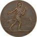 Francja, medal, Comice Agricole de l'Arrondissement de Nevers, n.d., Brązowy