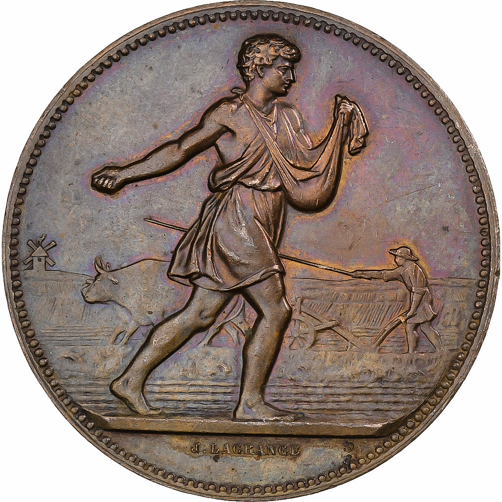 Francja, medal, Comice Agricole de l'Arrondissement de Nevers, 1889, Brązowy