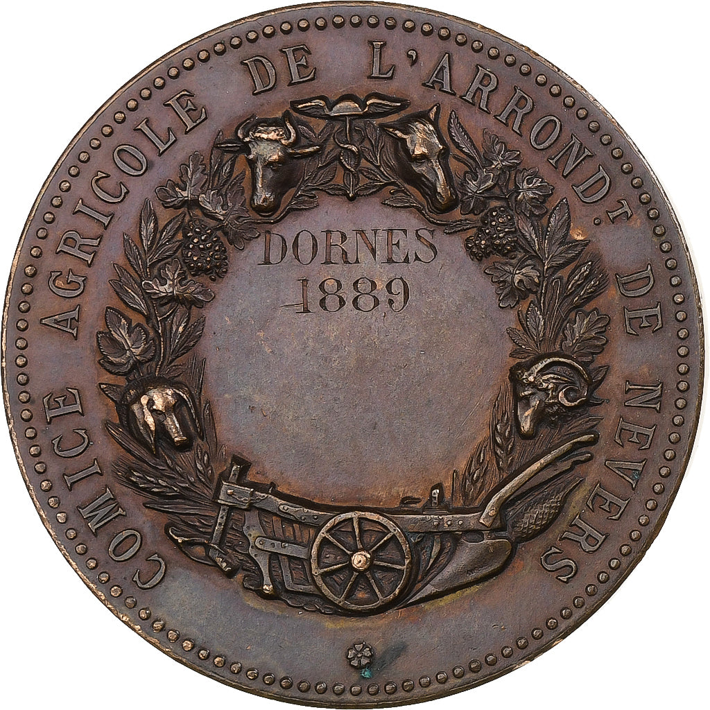 Francja, medal, Comice Agricole de l'Arrondissement de Nevers, 1889, Brązowy