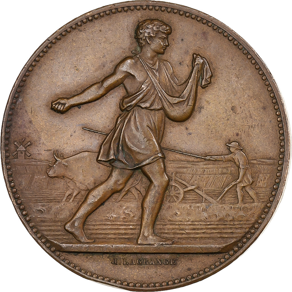 Francja, medal, Comice Agricole de l'Arrondissement de Nevers, 1880, Brązowy