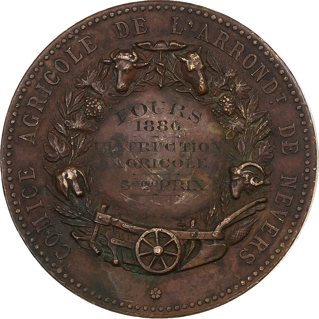 Francja, medal, Comice Agricole de l'Arrondissement de Nevers, 1880, Brązowy