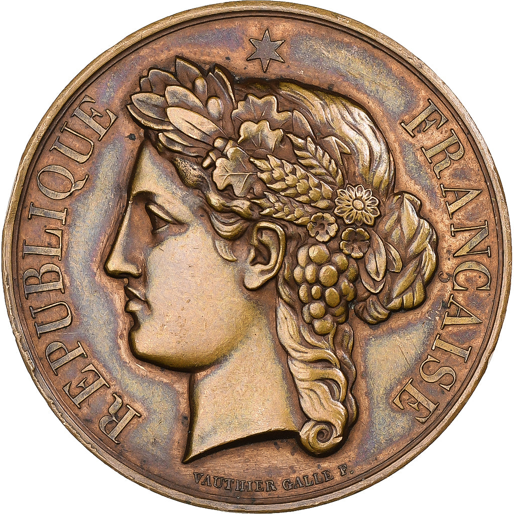 Francja, medal, Agriculteurs du Nivernais, 1887, Brązowy, Vauthier Galle