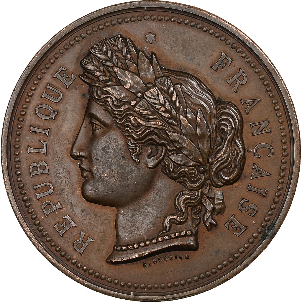 France, Medal, Comice Agricole de l'Arrondissement de Cosne, n.d., Copper