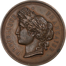 France, Medal, Comice Agricole de l'Arrondissement de Cosne, n.d., Copper