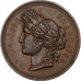 France, Medal, Comice Agricole de l'Arrondissement de Cosne, n.d., Copper