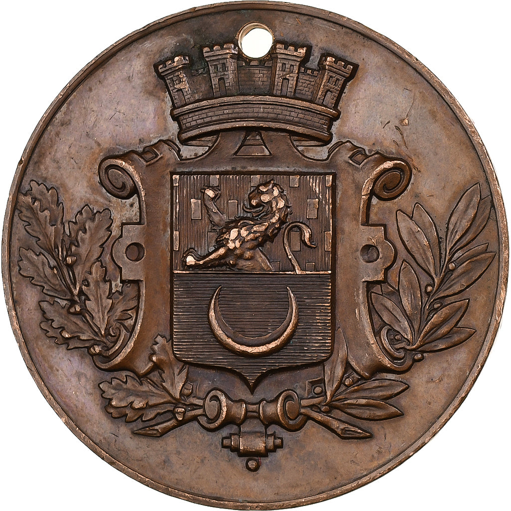 Francja, medal, Lendit Franc-Comtois, Vesoul, 1895, Miedź, AU(55-58)