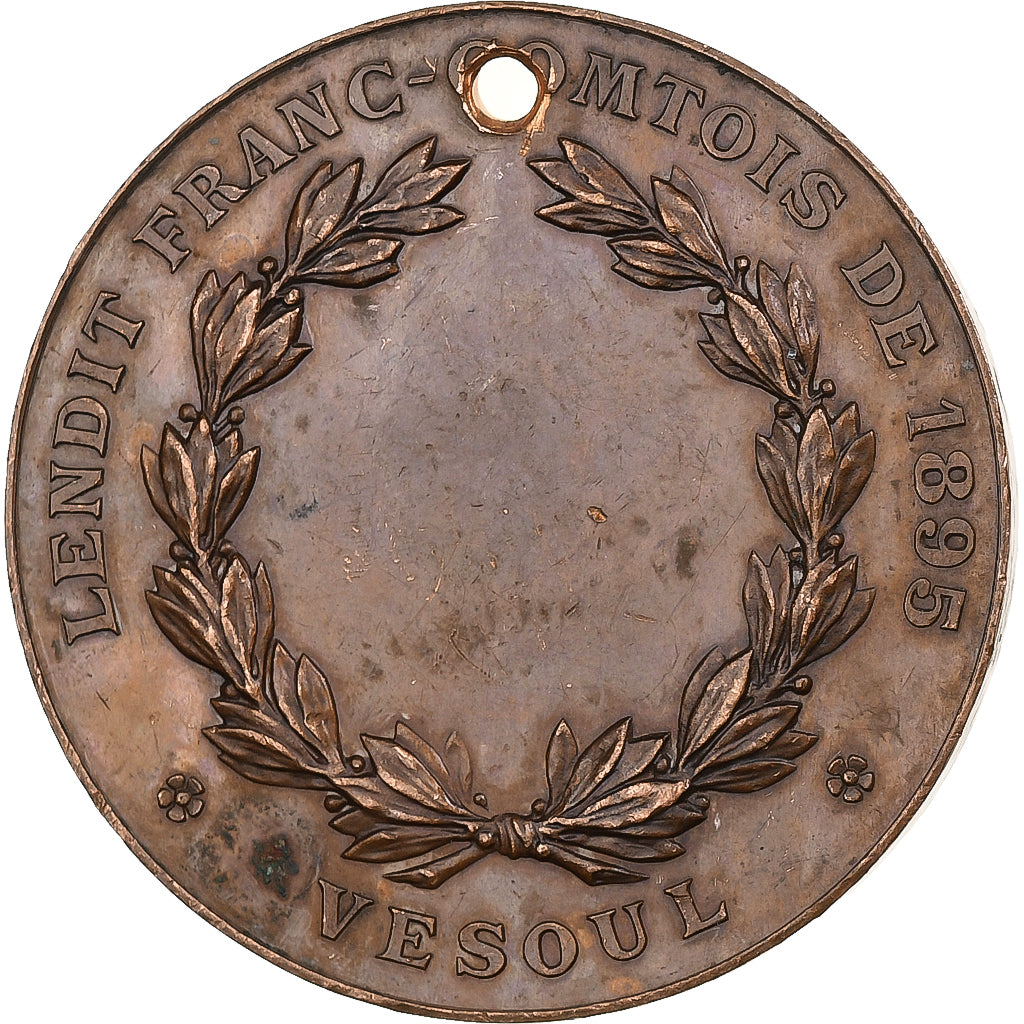 Francja, medal, Lendit Franc-Comtois, Vesoul, 1895, Miedź, AU(55-58)