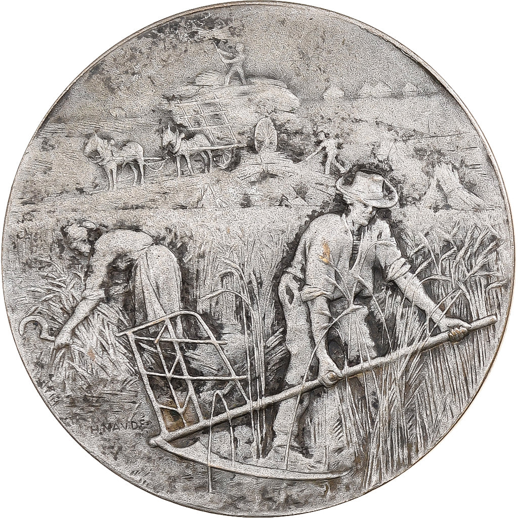 France, Médaille, Comice Agricole de Corbigny, 1924, Bronze argenté, SUP