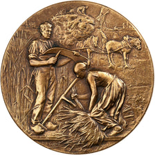 France, Medal, Comice Agricole, Loire Inférieure, n.d., Bronze, Rivet