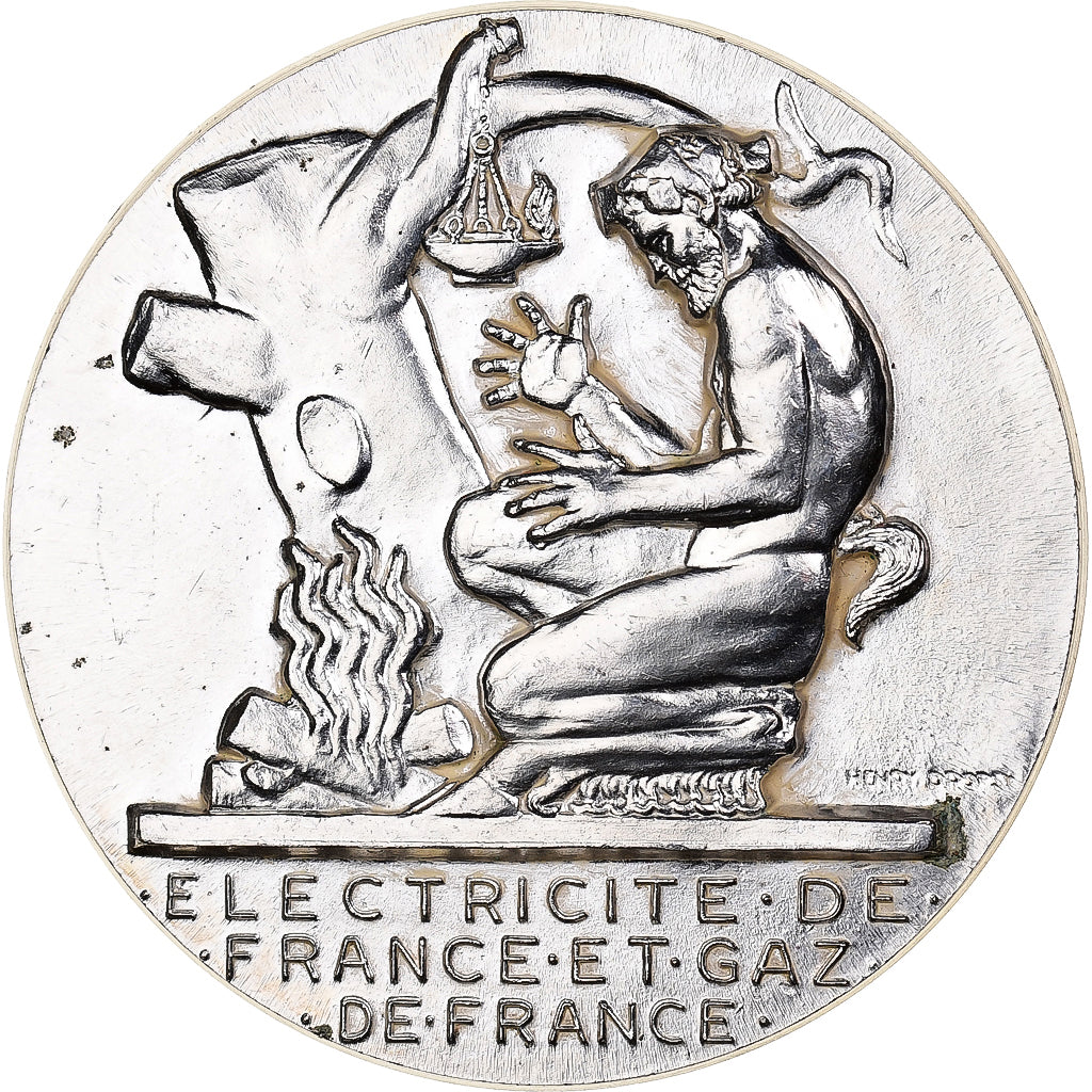 Francja, medal, Électricité de France et gaz de France, n.d., Brąz
