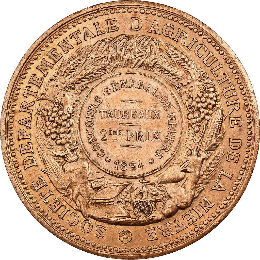 France, Medal, Agriculture, Concours général de Nevers, Nièvre, 1894, Bronze