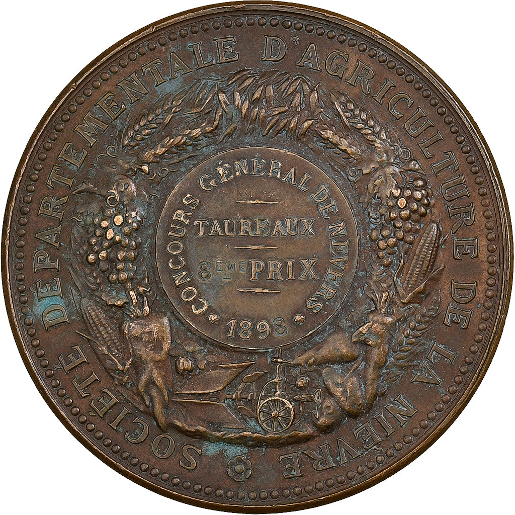 France, Medal, Agriculture, Concours général de Nevers, Nièvre, 1898, Bronze
