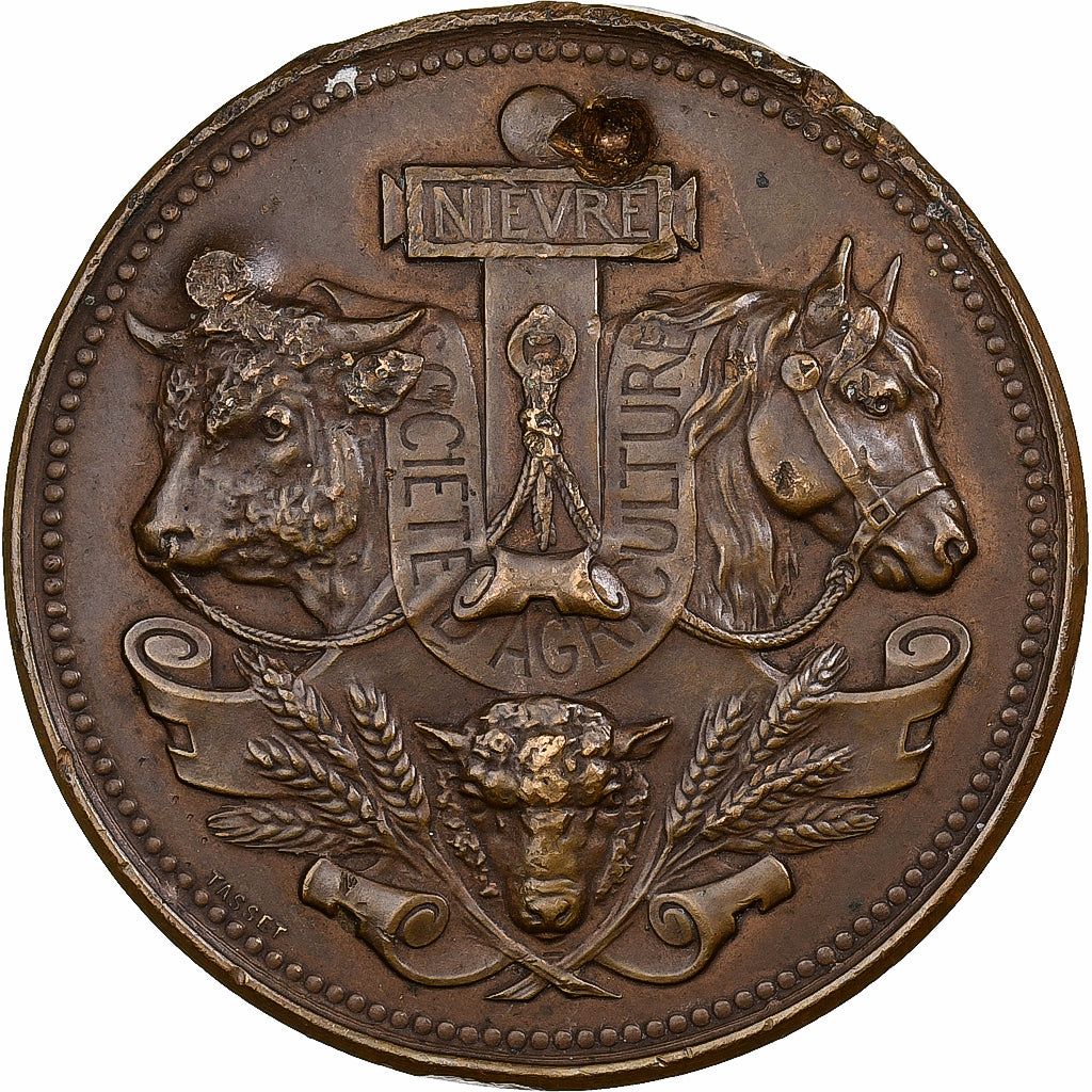 France, Medal, Agriculture, Concours général de Nevers, Nièvre, 1899, Bronze