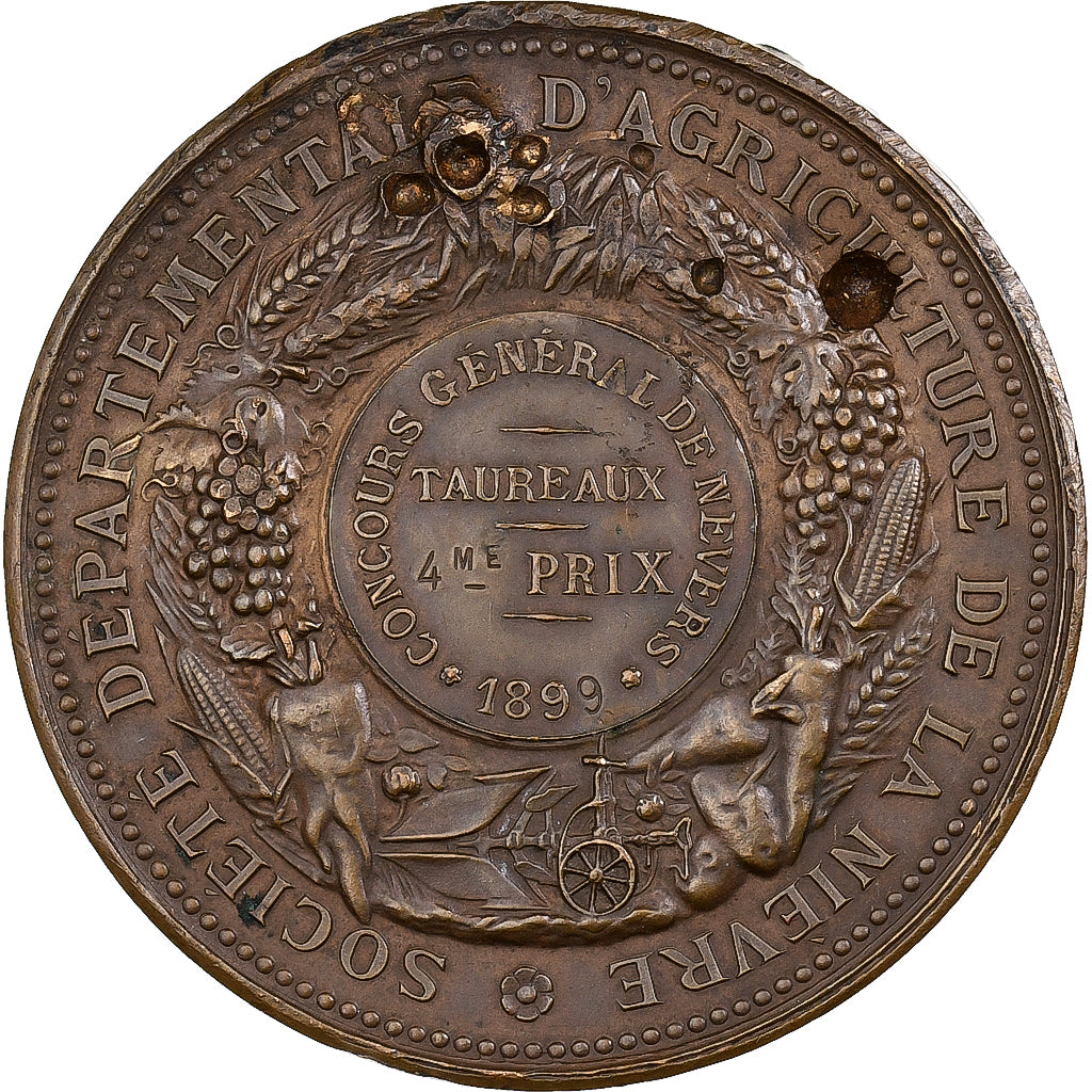 France, Medal, Agriculture, Concours général de Nevers, Nièvre, 1899, Bronze