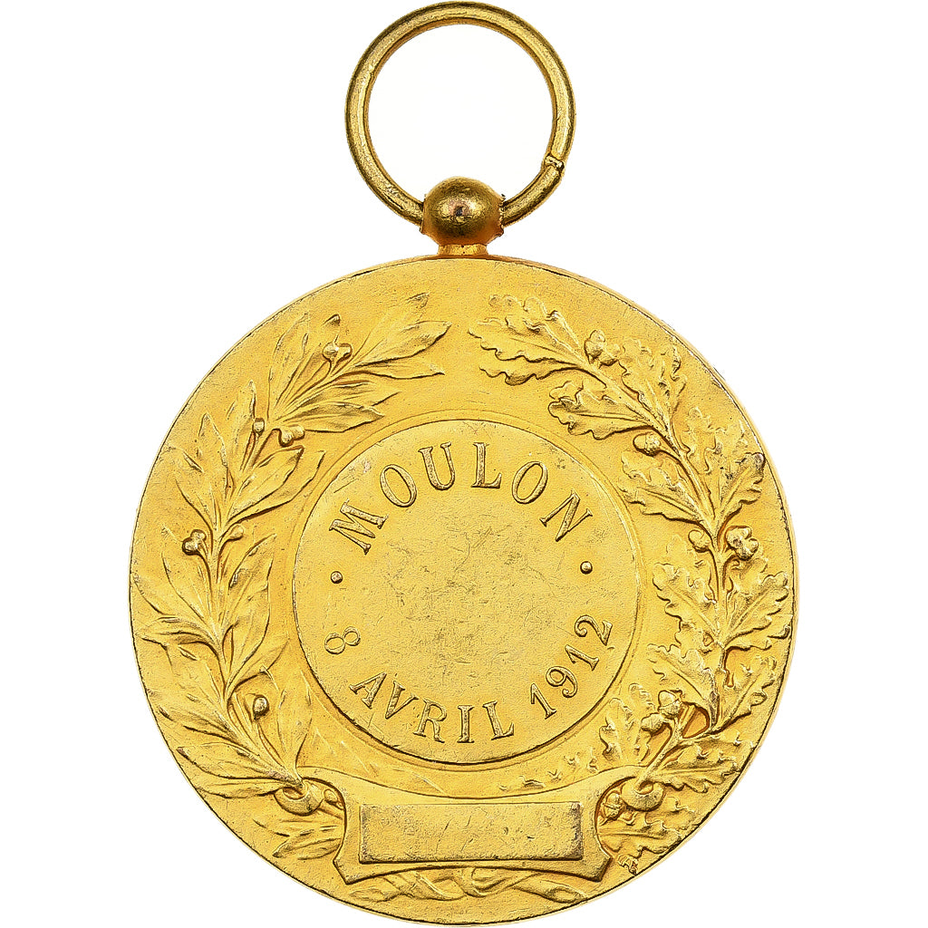 Francia, medaglia, Gymnastique, Moulon, 1912, Bronzo dorato, Rasumny, SPL-