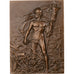Francja, Plaquette, La France à Verdun, Le Poilu, n.d. (1976), Brązowy
