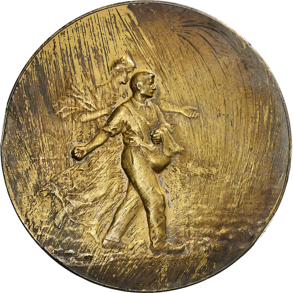 France, Medal, Comité Linier de France, n.d., Silver, Patriarche, AU(55-58)