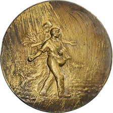 France, Medal, Comité Linier de France, n.d., Silver, Patriarche, AU(55-58)