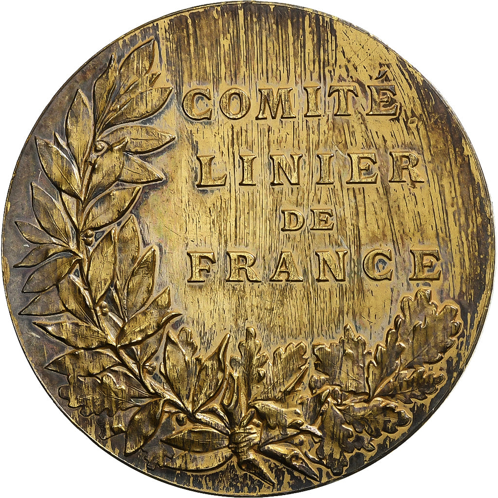 France, Medal, Comité Linier de France, n.d., Silver, Patriarche, AU(55-58)
