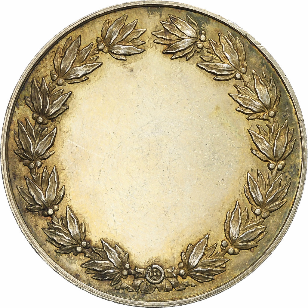 France, Medal, Marianne, n.d., Silver, Borrel, AU(55-58)
