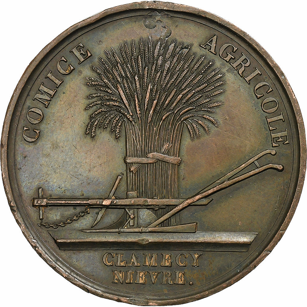 Frankreich, Medaille, Comice Agricole de Clamecy, Nièvre, n.d., Kupfer, VZ