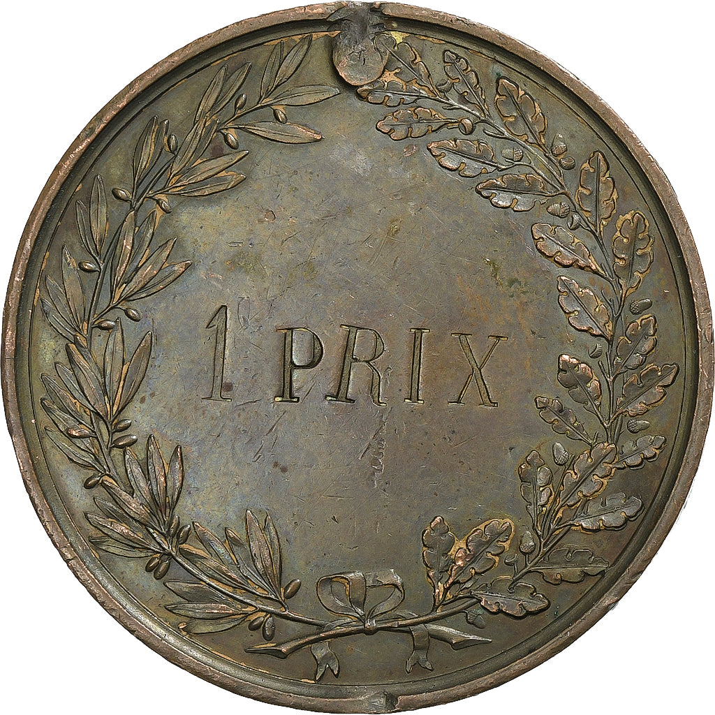 Frankreich, Medaille, Comice Agricole de Clamecy, Nièvre, n.d., Kupfer, VZ