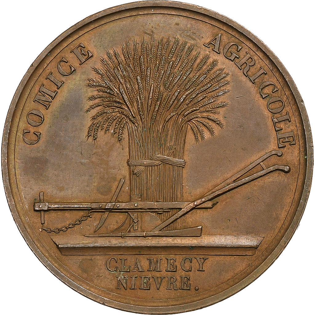 Frankreich, Medaille, Comice Agricole de Clamecy, Nièvre, n.d., Kupfer, VZ+