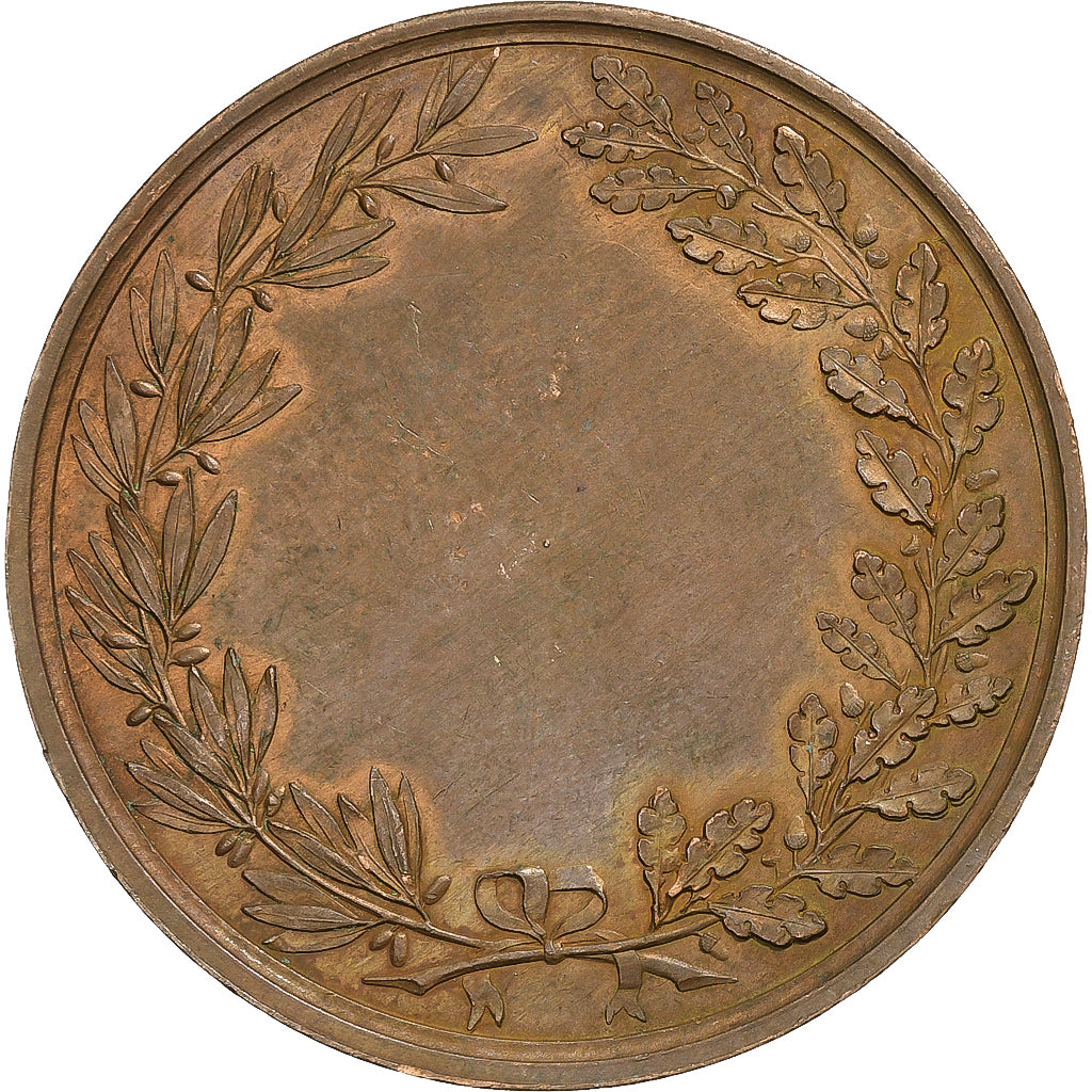 Frankreich, Medaille, Comice Agricole de Clamecy, Nièvre, n.d., Kupfer, VZ+