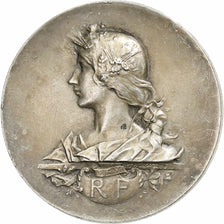 Frankreich, Medaille, Comice Agricole de l'Arrondissement de Cosne, n.d.