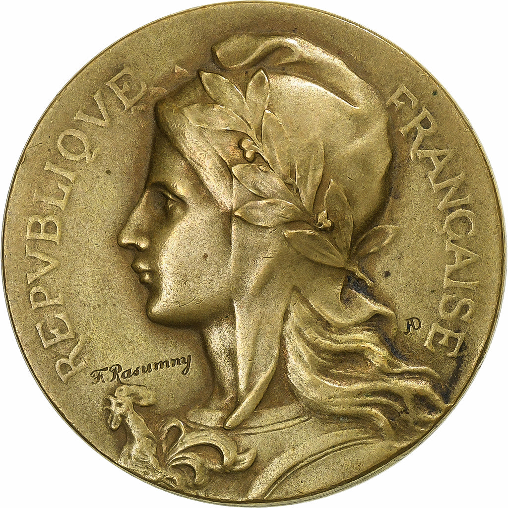 Francia, medalla, Ville de Nevers, Dénombrement, 1906, Bronce, Rasumny, EBC+