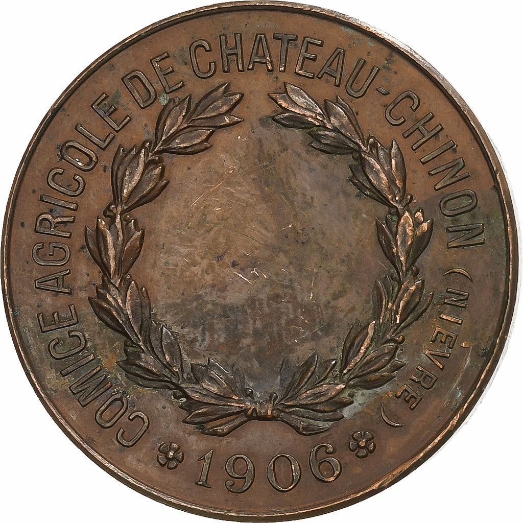 Francia, medalla, Comice Agricole de Château-Chinon (Nièvre), 1906, Bronce