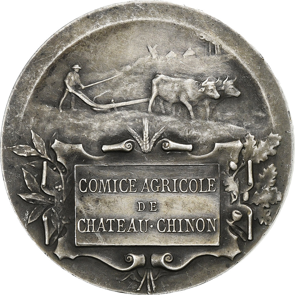 France, Médaille, Comice Agricole de Château-Chinon (Nièvre), n.d., Bronze