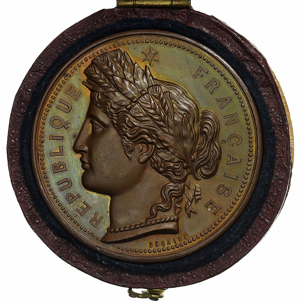Francia, medaglia, Comice Agricole de l'Arrondissement de Cosne, 1879, Rame