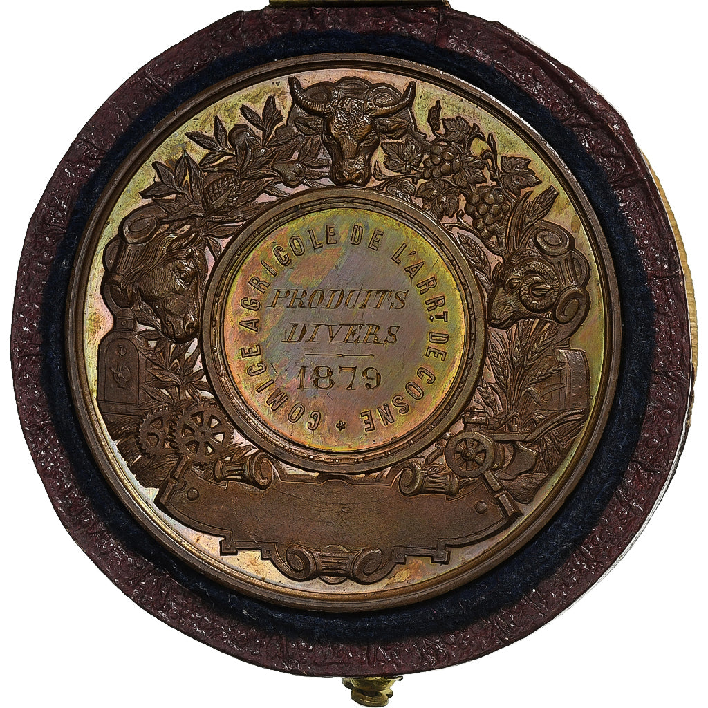 Francia, medaglia, Comice Agricole de l'Arrondissement de Cosne, 1879, Rame