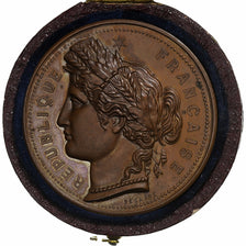 France, Medal, Comice Agricole de l'Arrondissement de Cosne, n.d., Bronze