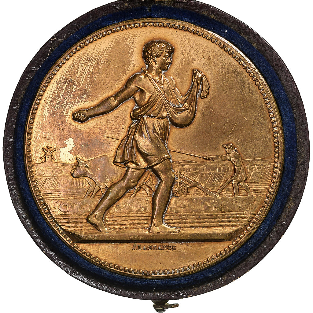 France, Medal, Comice Agricole de l'Arrondissement de Nevers, 1884, Bronze
