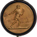 France, Medal, Comice Agricole de l'Arrondissement de Nevers, 1884, Bronze
