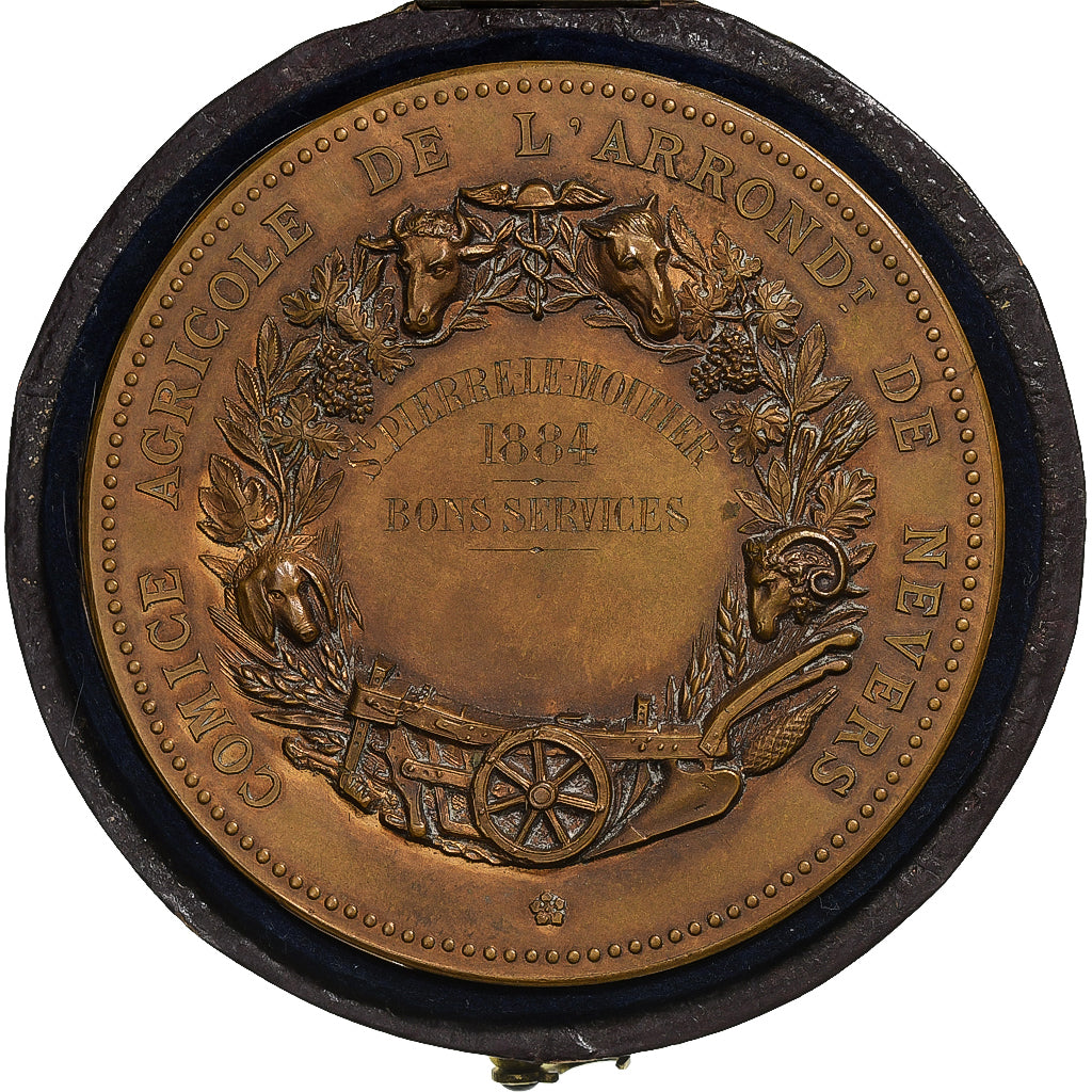 France, Medal, Comice Agricole de l'Arrondissement de Nevers, 1884, Bronze