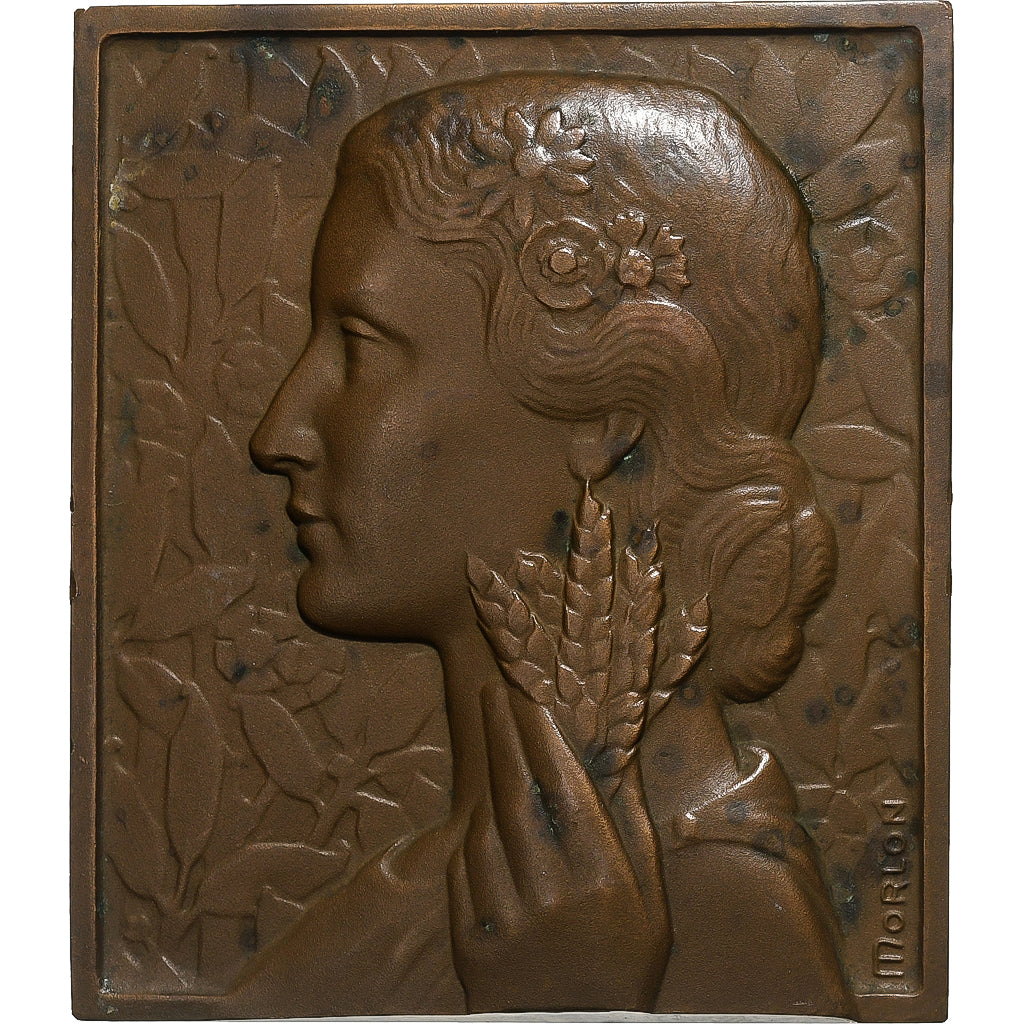 Francia, Plaquette, Comice Agricole de Saint-Pierre-le-Moûtier, 1958, Bronzo