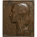 Francia, Plaquette, Comice Agricole de Saint-Pierre-le-Moûtier, 1958, Bronzo