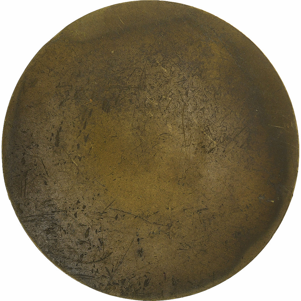 Francia, medalla, Cercle du Bibliophile, Victor Hugo, n.d., Latón, EBC