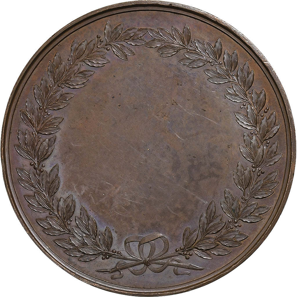 França, medalha, La Vaccine, 1804, Bronze, Andrieu, MS(64)