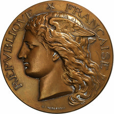 France, Medal, Concours Général Agricole de Paris, 1896, Bronze, Ponscarme