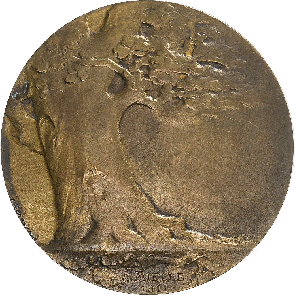 Frankreich, Medaille, Société d'Enseignement Moderne, 1911, Bronze, Albert