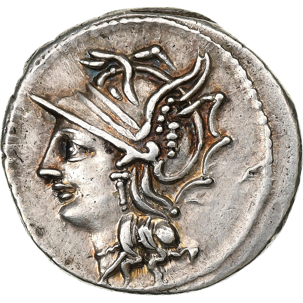 Appuleia, Denier, 104 BC, Rome, Argent, SUP, Crawford:317/3